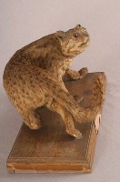 石虎藏品圖，第6張